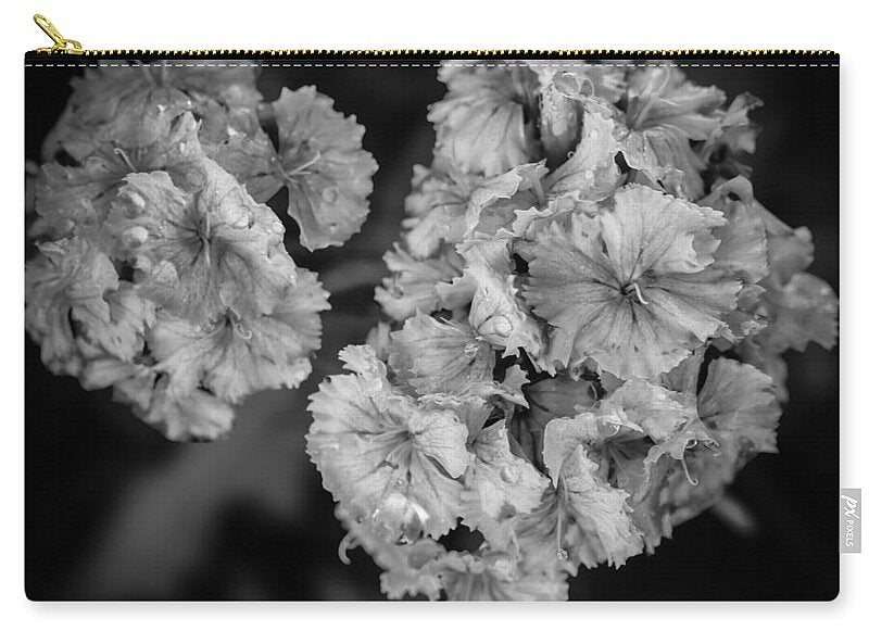 Black and White Floral Study - Zip Pouch
