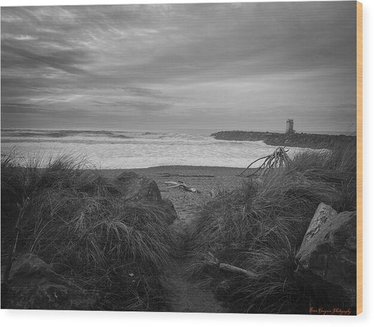 Black and white walk to the beach - Wood Print