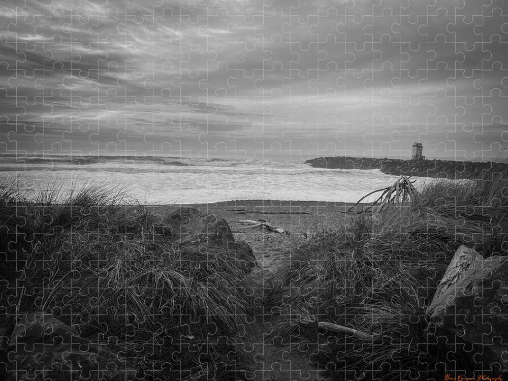 Black and white walk to the beach - Puzzle