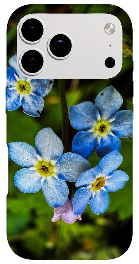 Blue flowers - Phone Case