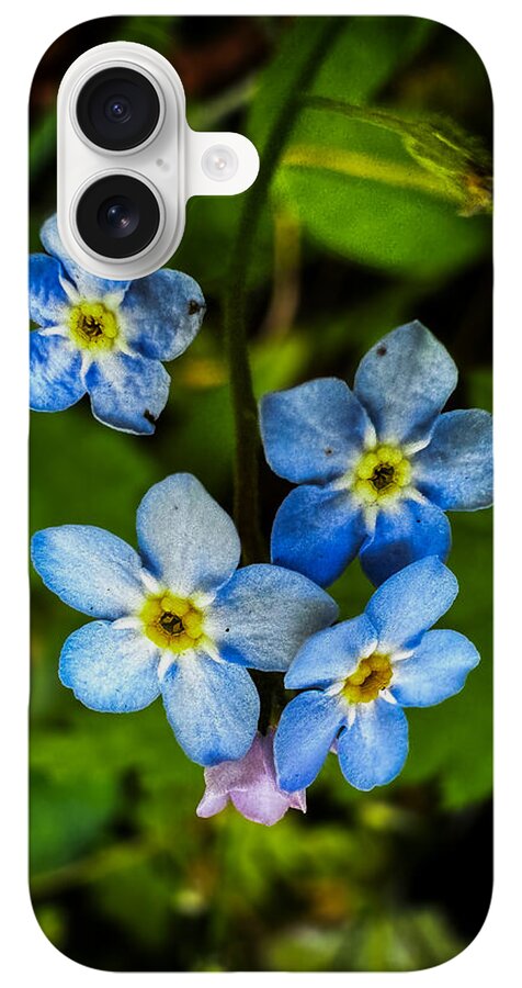 Blue flowers - Phone Case