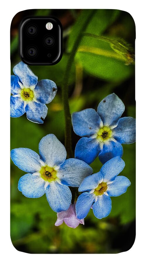 Blue flowers - Phone Case