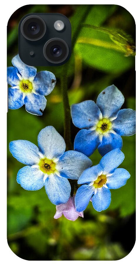 Blue flowers - Phone Case