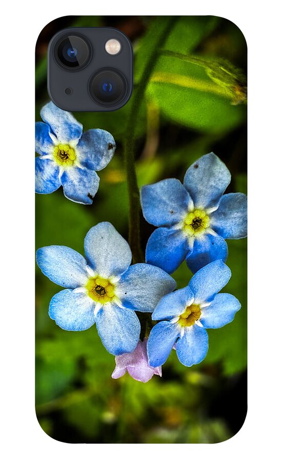 Blue flowers - Phone Case