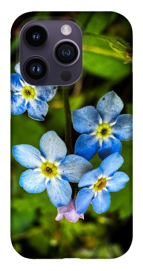 Blue flowers - Phone Case