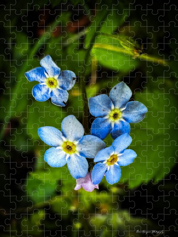 Blue flowers - Puzzle