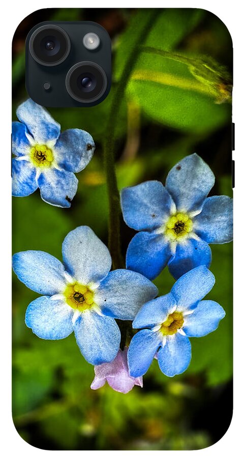 Blue flowers - Phone Case