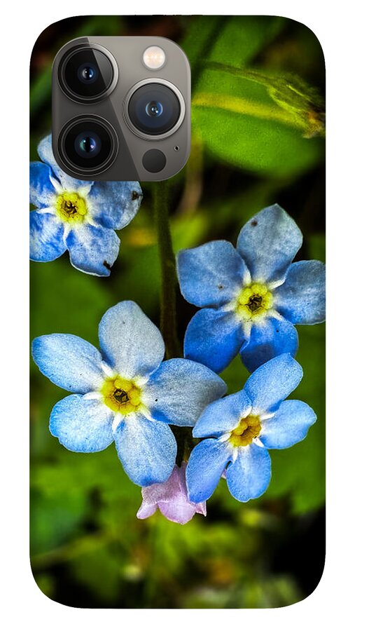 Blue flowers - Phone Case