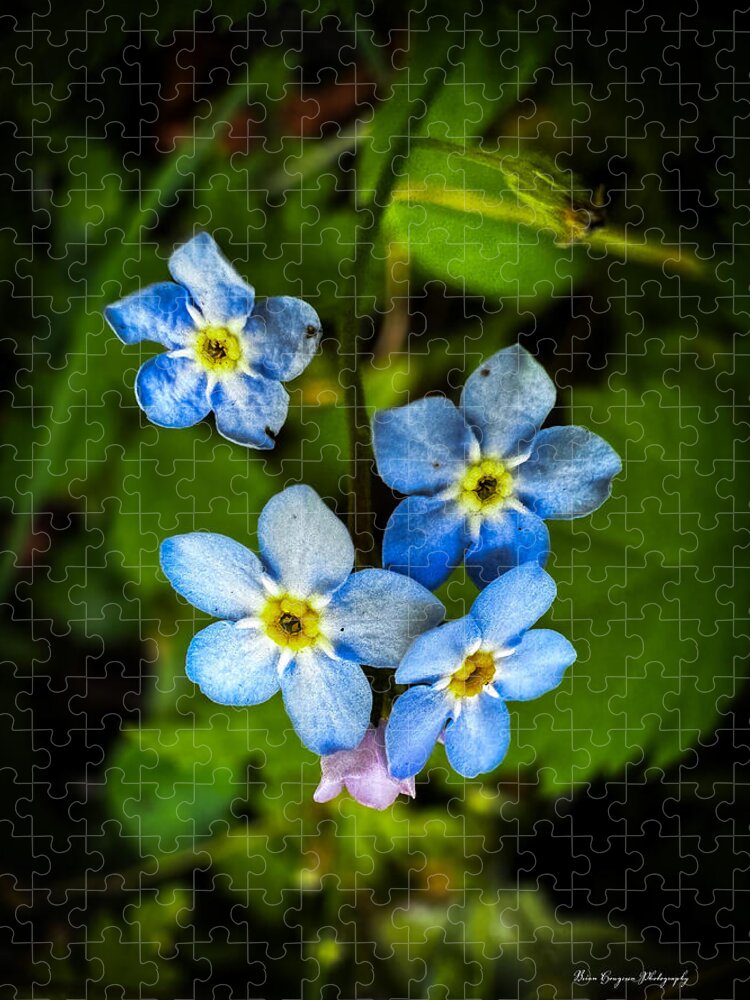 Blue flowers - Puzzle