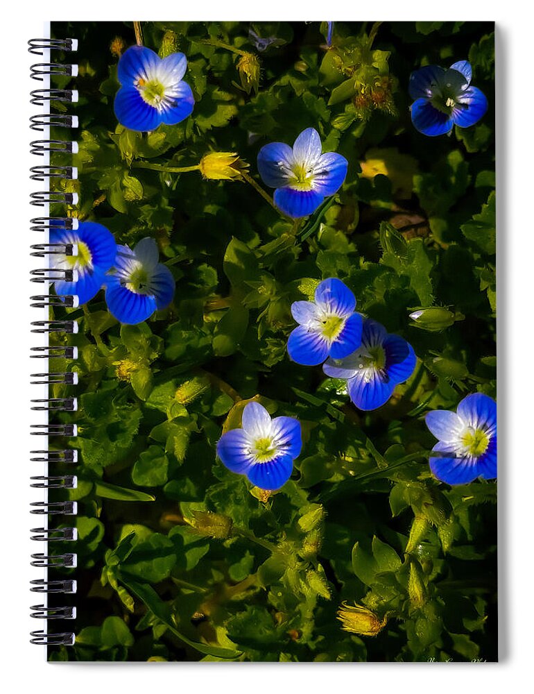 Booming blue - Spiral Notebook