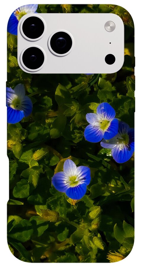 Booming blue - Phone Case