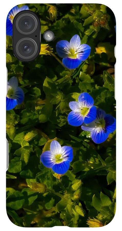 Booming blue - Phone Case
