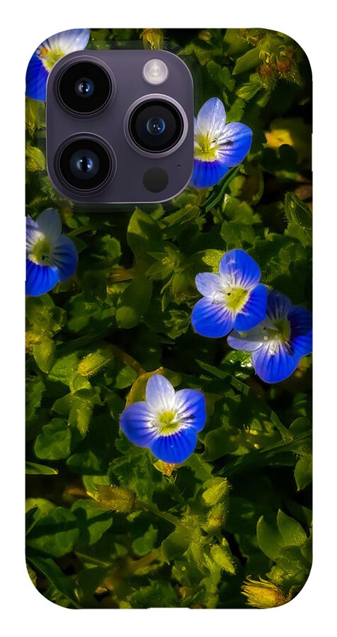 Booming blue - Phone Case