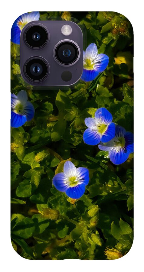 Booming blue - Phone Case