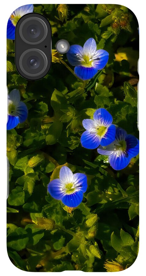 Booming blue - Phone Case