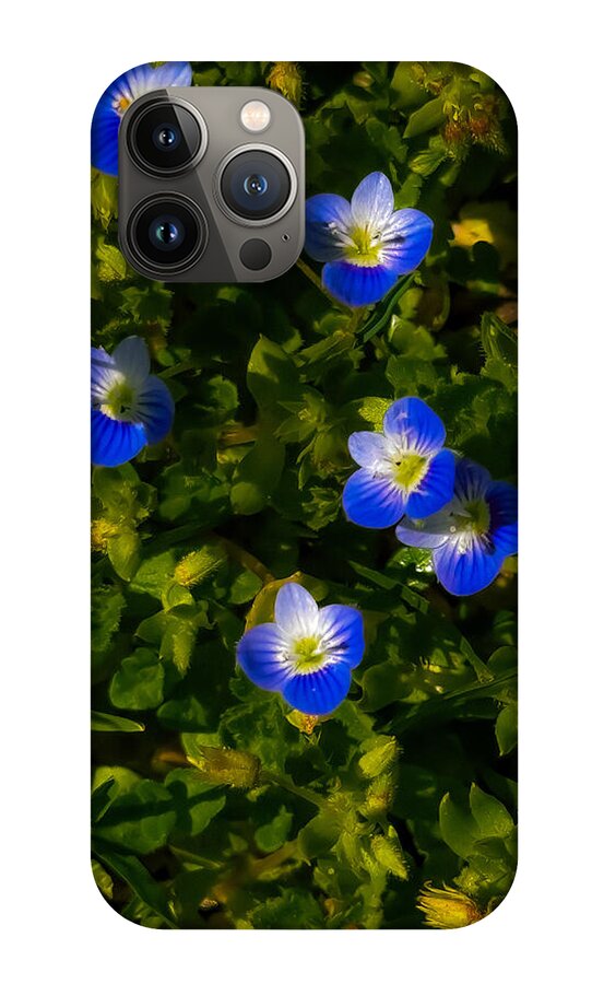Booming blue - Phone Case