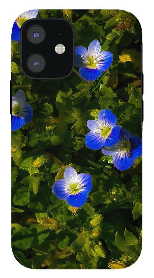 Booming blue - Phone Case