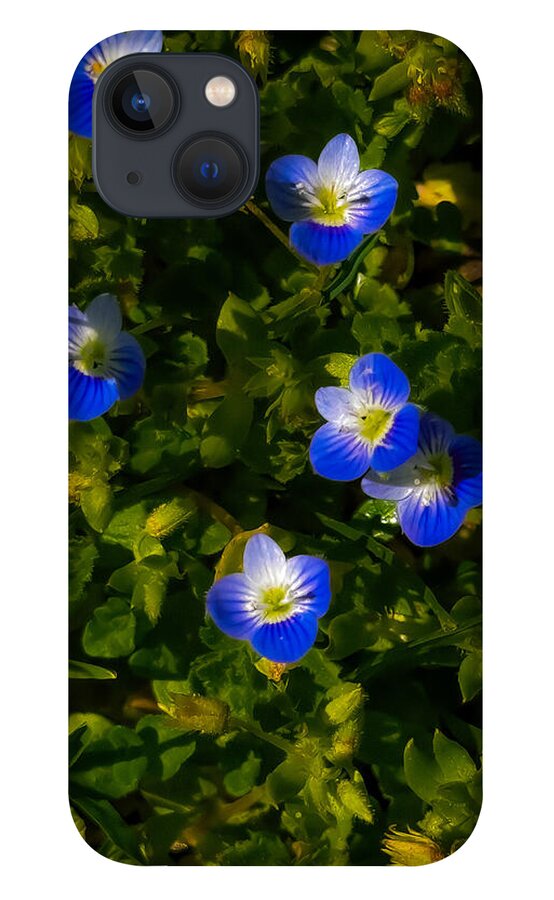 Booming blue - Phone Case