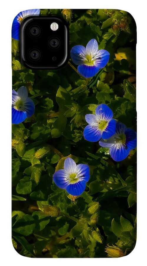 Booming blue - Phone Case