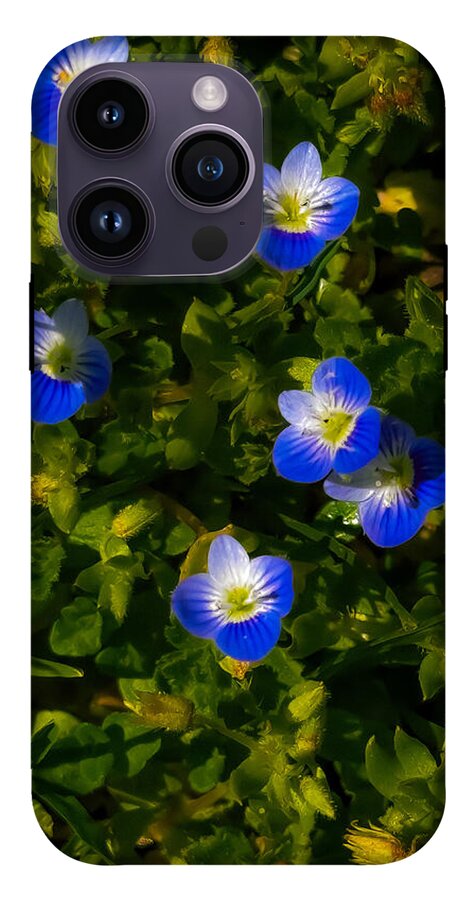 Booming blue - Phone Case
