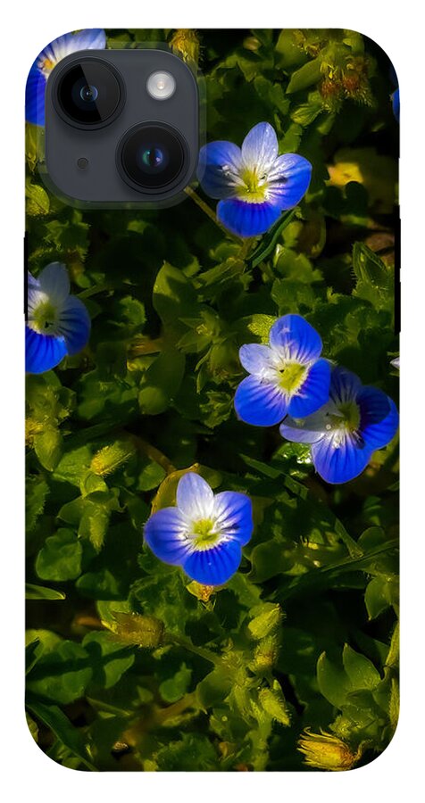 Booming blue - Phone Case
