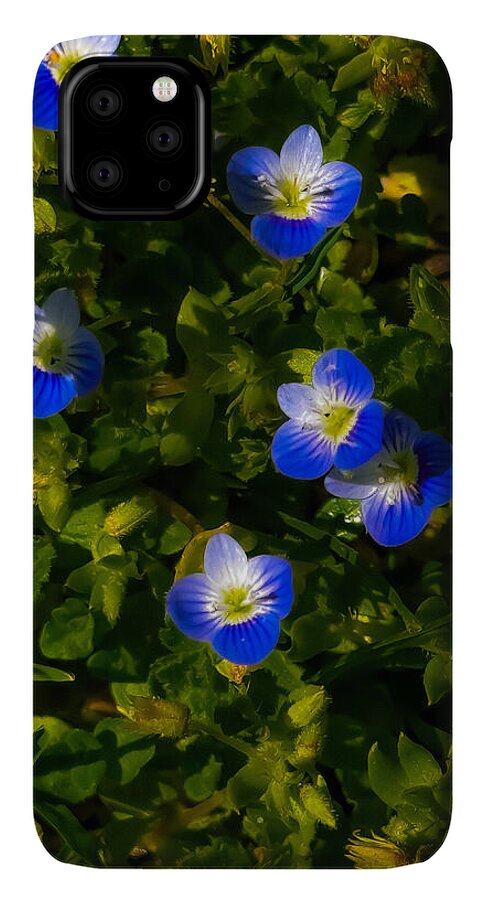 Booming blue - Phone Case