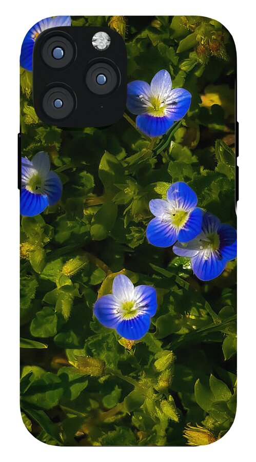 Booming blue - Phone Case