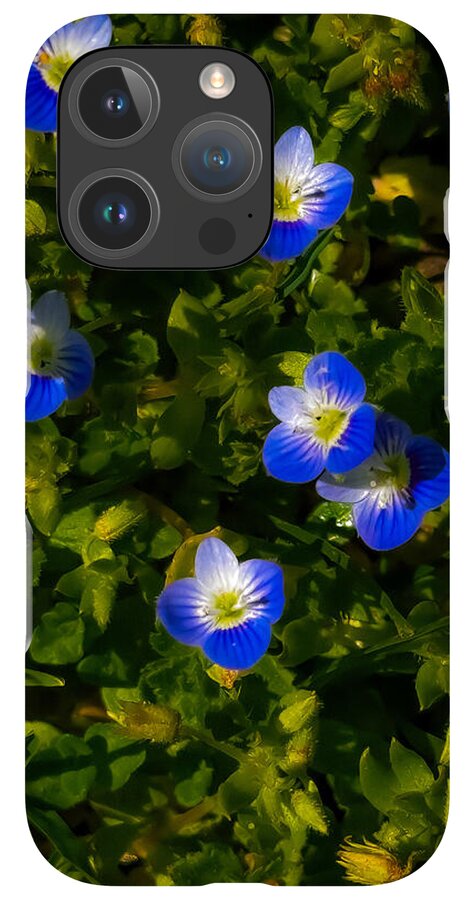 Booming blue - Phone Case
