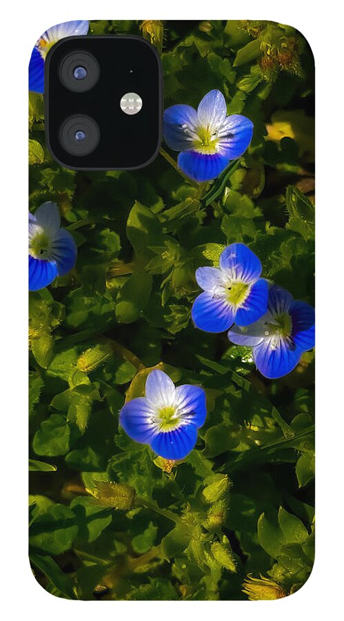 Booming blue - Phone Case