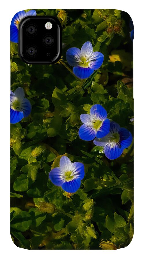 Booming blue - Phone Case