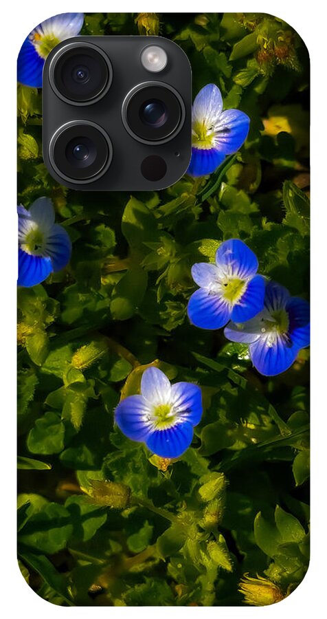 Booming blue - Phone Case