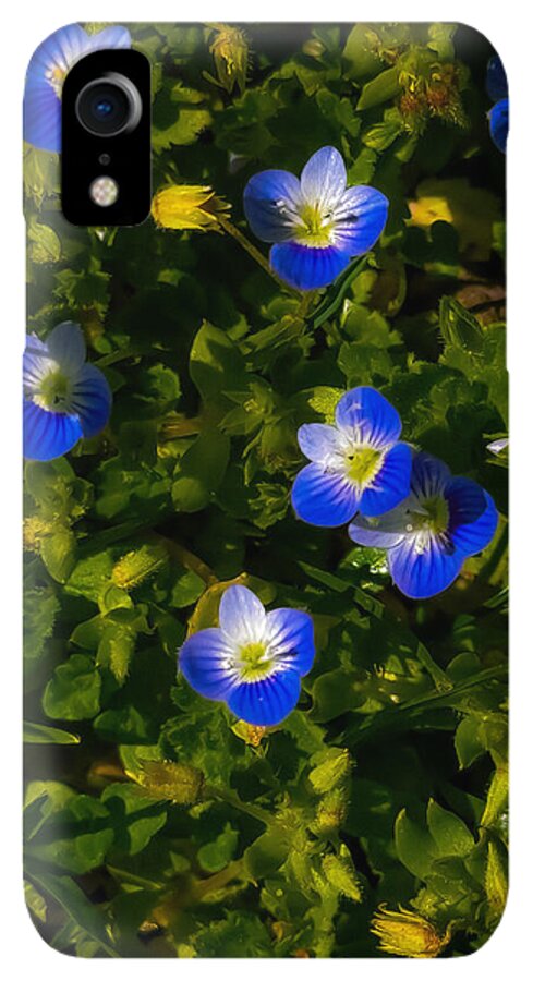 Booming blue - Phone Case
