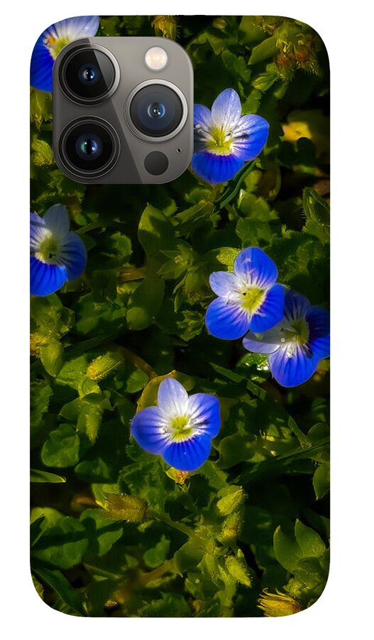 Booming blue - Phone Case