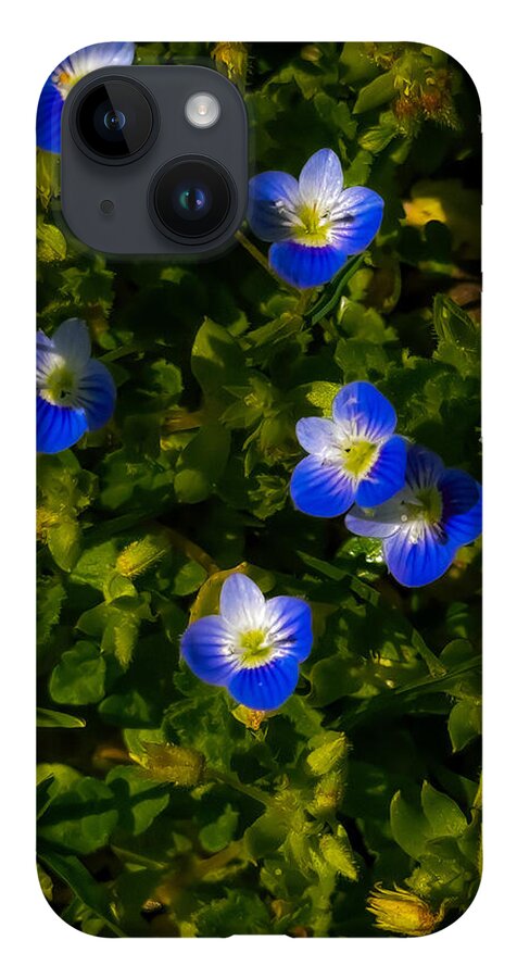 Booming blue - Phone Case