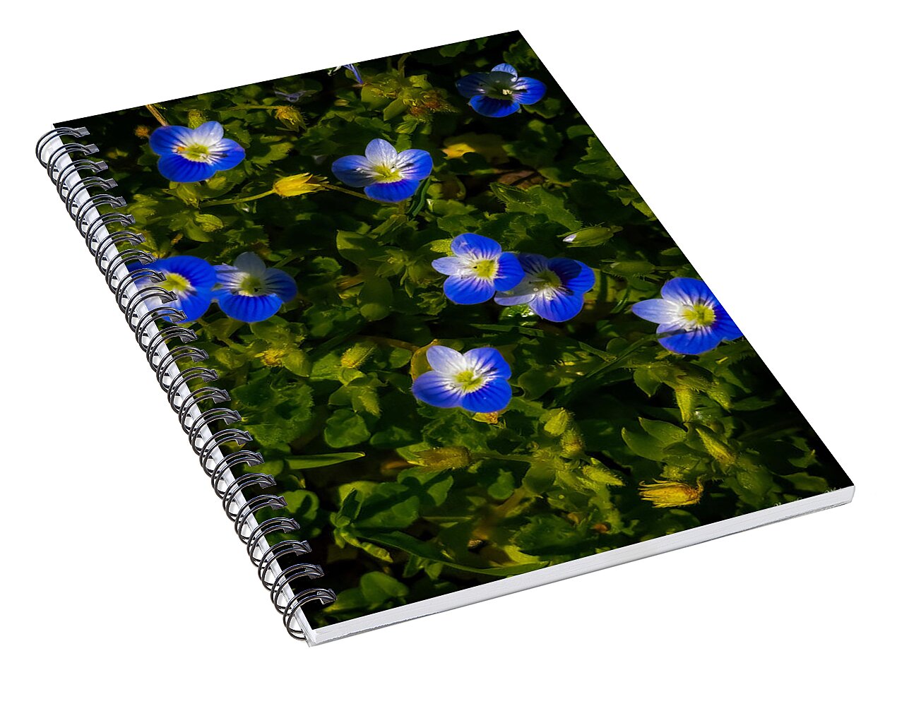 Booming blue - Spiral Notebook