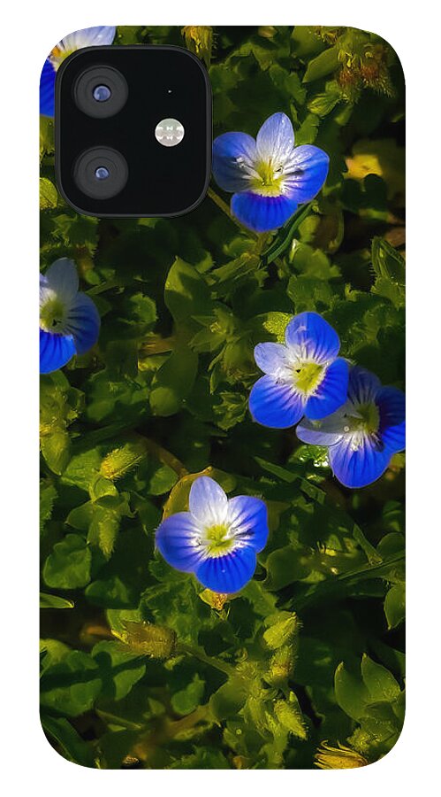 Booming blue - Phone Case
