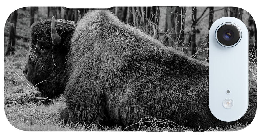 Buffalo black and white - Phone Case