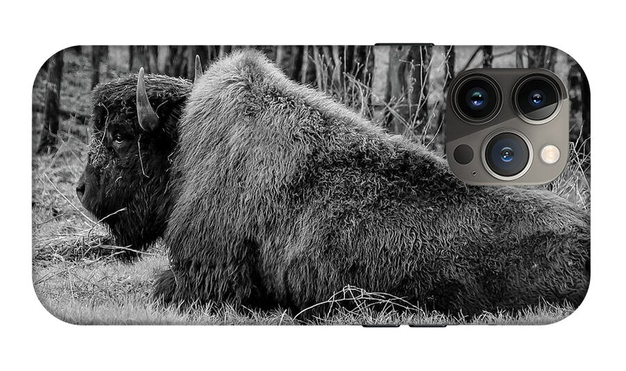 Buffalo black and white - Phone Case