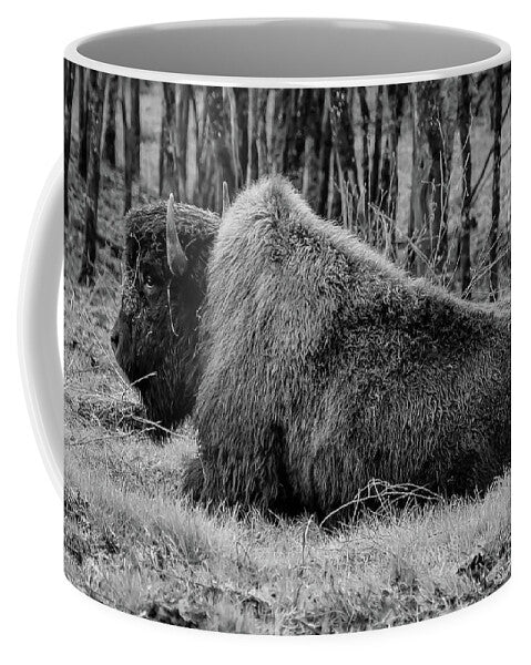 Buffalo black and white - Mug