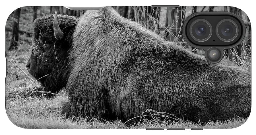 Buffalo black and white - Phone Case