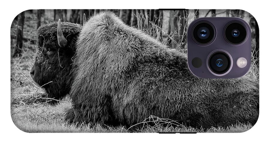 Buffalo black and white - Phone Case