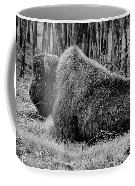 Buffalo black and white - Mug