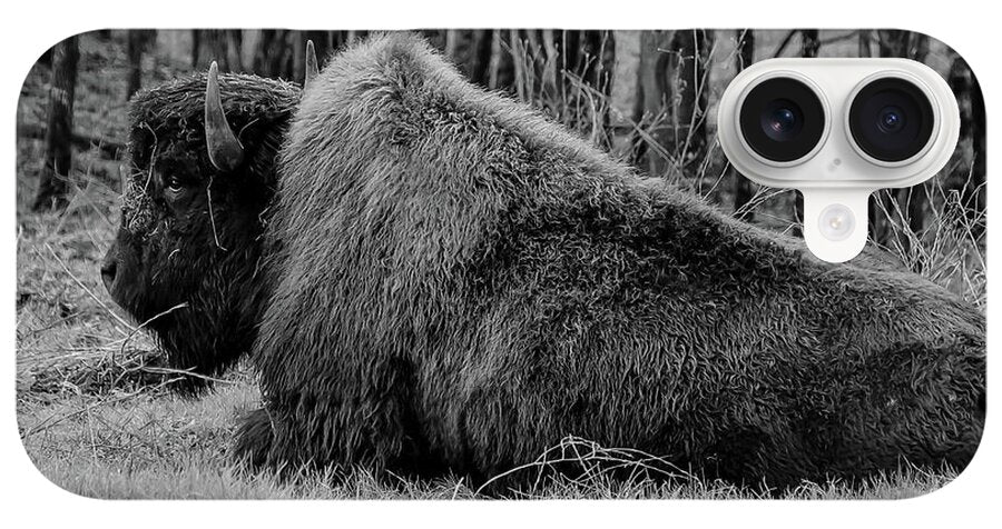 Buffalo black and white - Phone Case