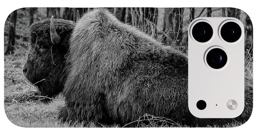 Buffalo black and white - Phone Case