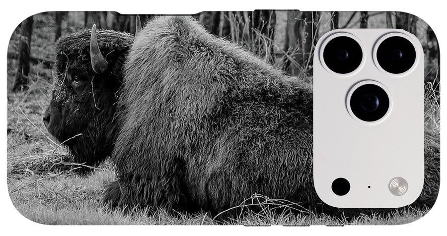 Buffalo black and white - Phone Case