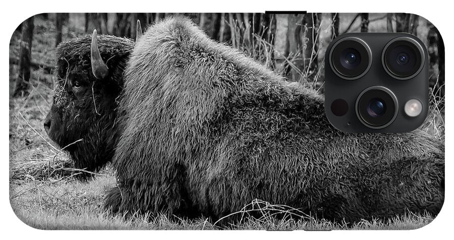 Buffalo black and white - Phone Case
