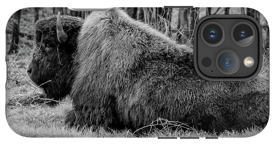 Buffalo black and white - Phone Case