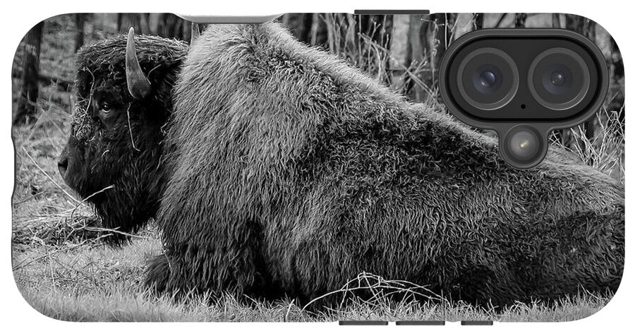 Buffalo black and white - Phone Case