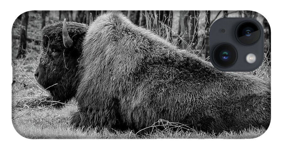 Buffalo black and white - Phone Case