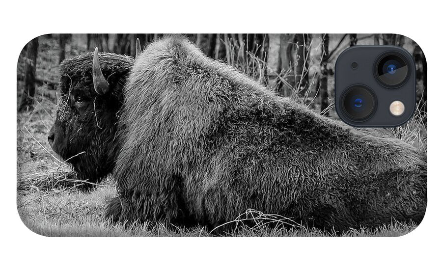 Buffalo black and white - Phone Case